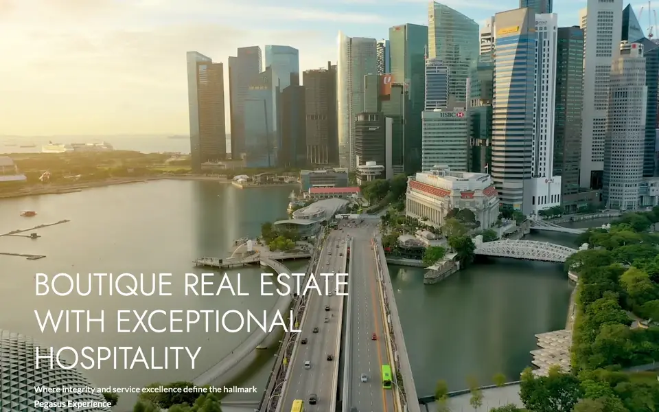 Pegasus Property Solutions website homepage, 4 Oct 2026